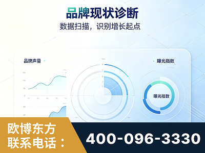 同江-品牌现状诊断